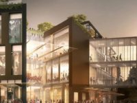 “It’s a jungle out there”: Auckland’s mixed bag retail property market