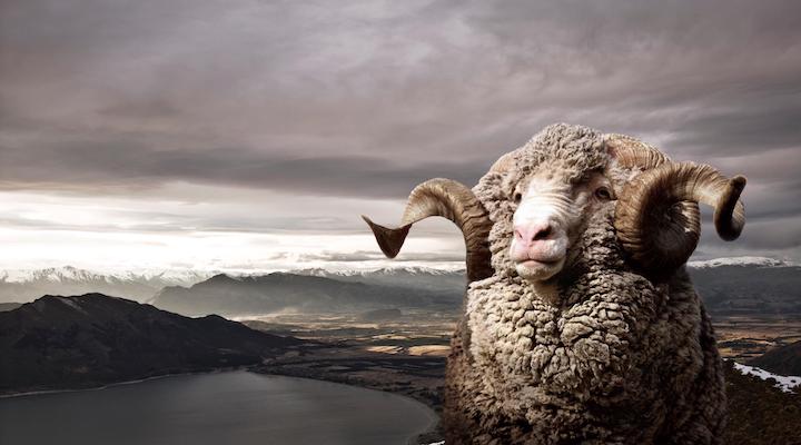 Icebreaker ram