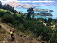 Image from MTB Direct