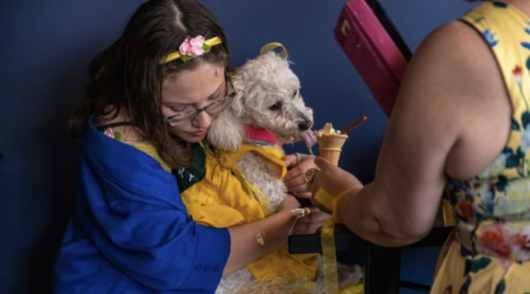 The Barkery