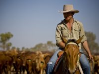 Why demand for Akubra Hats is at an all time high