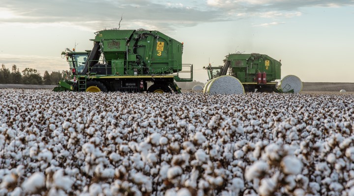 Sheridan returns cotton products to soil in textile waste trial ...