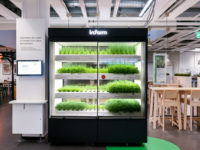 Ikea Germany and Infarm create instore herb gardens