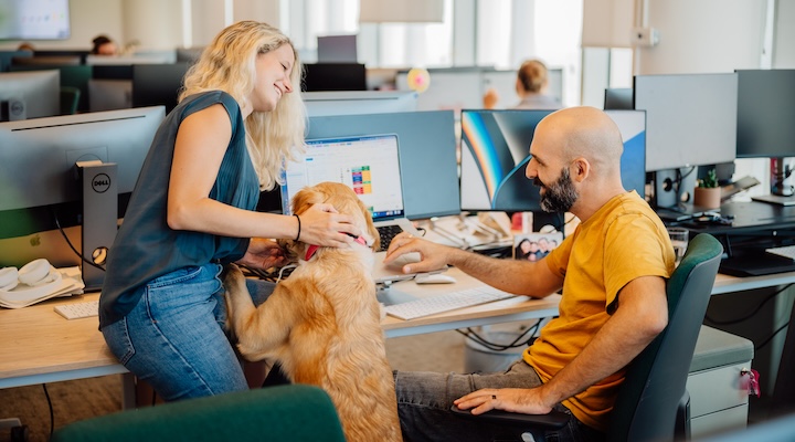 Workers use Monday platform with dog joining in
