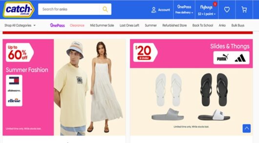 catch website interface