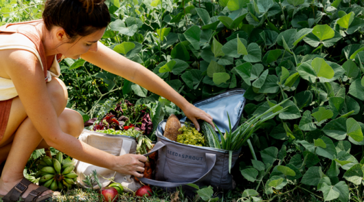 Sophie Kovic of Seed & Sprout gardening