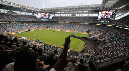 fans cheer at World Cup match