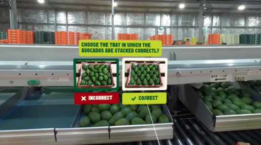 avocado virtual reality (VR) supply chain training program