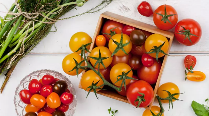 fresh tomatoes