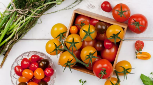 fresh tomatoes