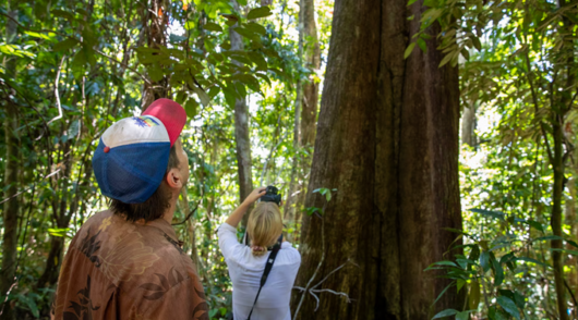 rainforest scientists