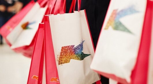 Kmart shopping bags